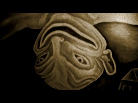 De ImperfAction - Man eats Man [official music video]