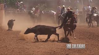 Coleadero en el lienzo charro la Labor, Fresnillo 2018.