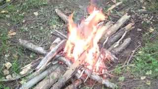 Мир навыка. Следопыт