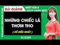 Những chiếc lá thơm tho Ngữ văn lớp 8 Chân trời sáng tạo