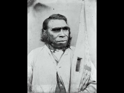 live Dacia vs Pontus