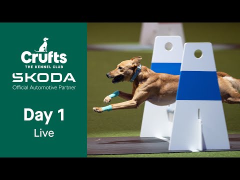 Day 1 LIVE | Crufts 2023
