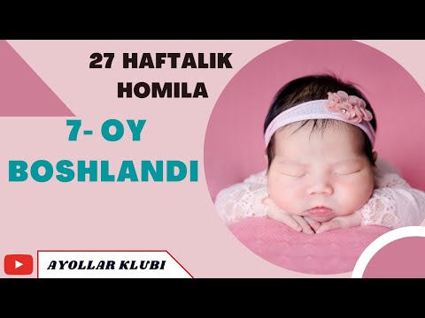27 HAFTALIK HOMILA HAQIDA