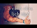 3 cách chia Lịch Tập Thần Thánh BẠN PHẢI BIẾT để phát triển vượt bậc!- Làng Hoa Workout