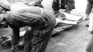 Dead bodies of Nazi concentration camps victims placed into crematory after liber...HD Stock Footage