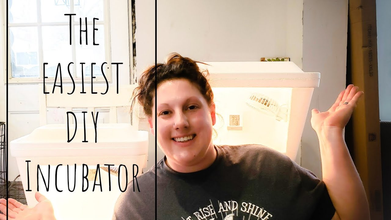 The EASIEST DIY Incubator - $35 or Less - Easy