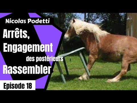 Arrêts Engagement Rassembler