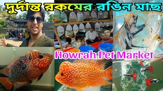 Ankurhati Pet Market | Ankurhati Fish Market | Howrah Ankurhati Pet Market | Fish Market | Fish Shop