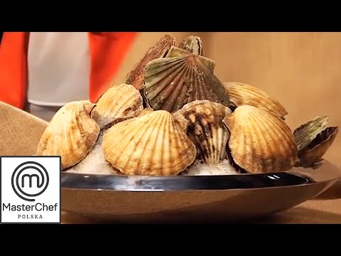 Przegrzebki w kuchni MasterChefa | MasterChef Polska
