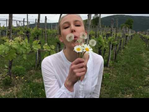 47 Festival Steverjan 2017 Spot 02