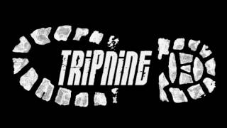 Tripnine - Come Together, Dec 2006