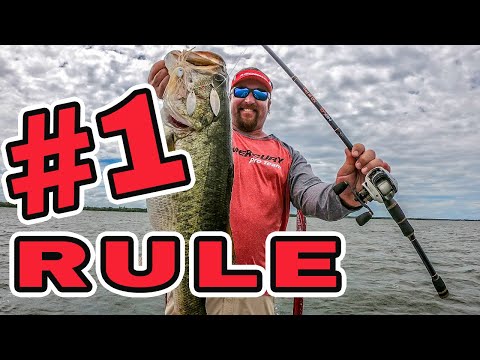 You MUST Do THIS to CATCH BIG BASS!