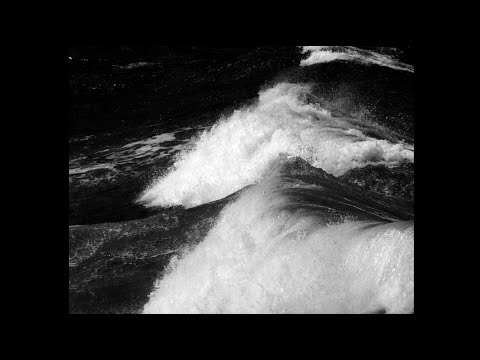 Vanessa Zamora — MAR (Official Video)