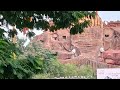 First Visit Sidhivinayak Temple Mahemdavad Shree Sidhivinayak Mandir Mahemdavad