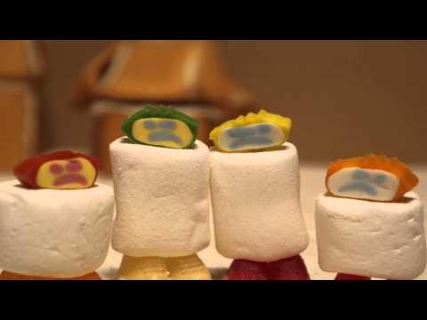 Hari der Schlangenbeschwörer