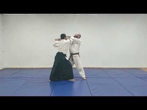 Aikido Basic Techniques: Tsuki - Gokyo