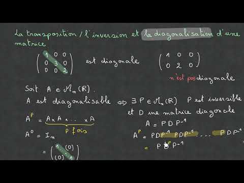 イチジク。 1. 辺が固有ベクトルの基底によって形成される平行面の対角化可能な準同型写像による修正。