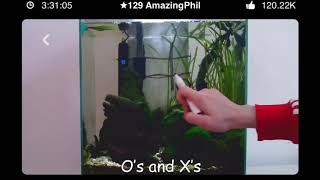 amazingphil and his fish play tic tac toe