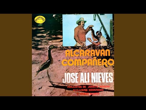 Amor Y Toros Coleados - Jose Ali Nieves