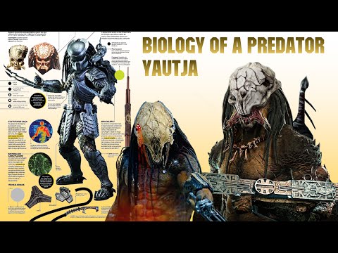 Origins, Biology And Life Cycle Of A Predator (Yautja)