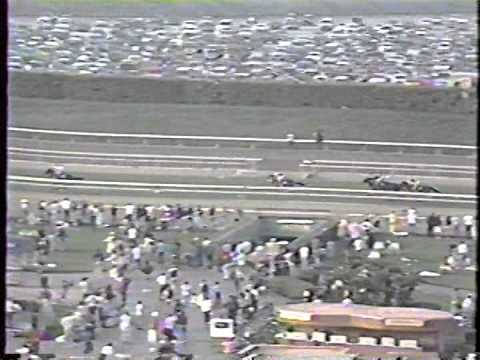 1990 San Luis Ray S. -- Prized