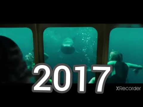 Great white shark of Evolution 1975-2021