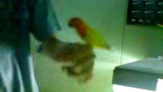 Wiki&#39;s Training Progress