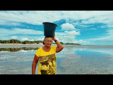 REDEMARIS - Dona Dedé: a marisqueira mais antiga de Pernambuquinho