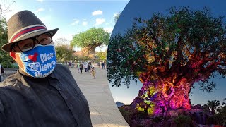 Disney’s Animal Kingdom 2021 Open Till 8PM | Pandora At Night &amp; The Tree of Life Awakens Projections