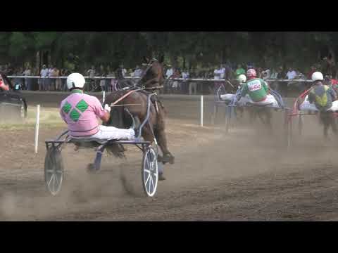 Trka "Petrovdanska trka-I trčanje" 11.07.2021 Iago d'Amore - Andor Vereb