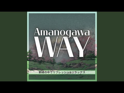 ナチュラルなバルコニーの葦の装飾アイデア