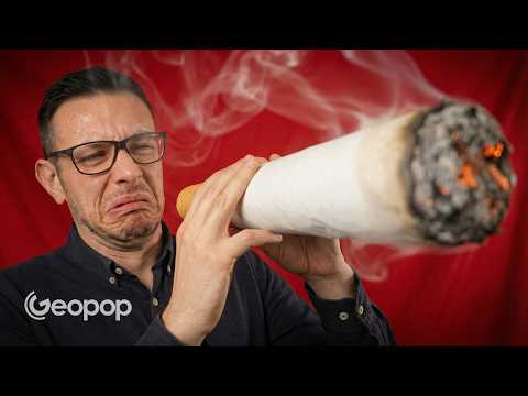 The cigarette market from 1900 to today