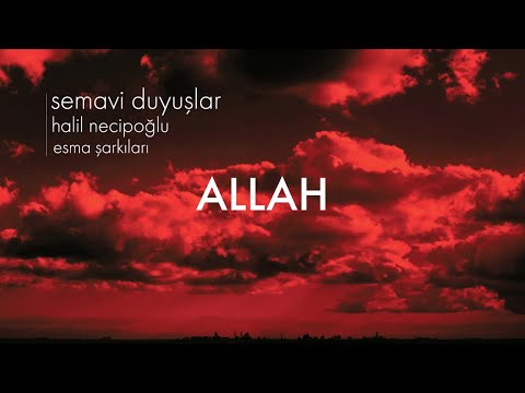 Halil Necipoğlu - Allah - (Official Audio Video)