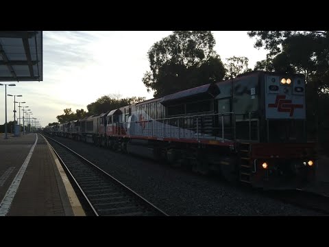 SCT006(LEL) + CSR002 + SCT015 + CSR006 + SCT009 + CSR007