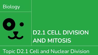 D2.1 Cell Division and Mitosis [IB Biology SL/HL]