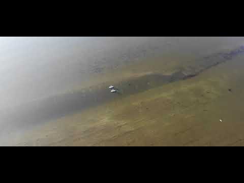 Paddle Boarders in the Tay