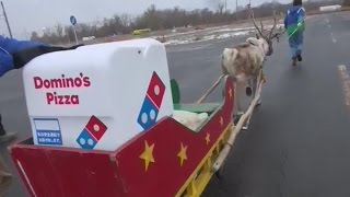 Reindeers for pizza delivery?