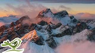 Relaxing Ambient Music Radio 🎶 Sleep, Meditation & Focus thumbnail