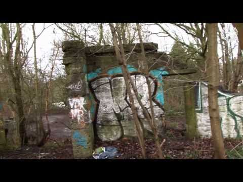 Lost Place: Kleine Ruine im Wald
