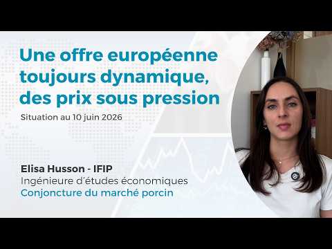 Prix du porc sous pression et offre européenne toujours dynamique