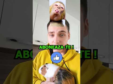 Ce ANIMAL Sunt ? 😂