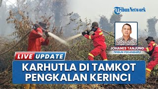 Karhutla Mendadak Membara di Taman Kota Pengkalan Kerinci Riau, Tim Damkar Meluncur Padamkan Api