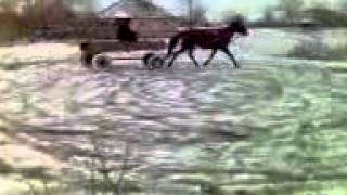 Деревенский дрифт.3gp