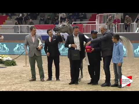 Milan SEWC 2016   Female Special Awards