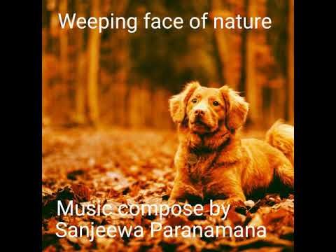 Weeping face of nature :music compose by Sanjeewa paranamana ( exp