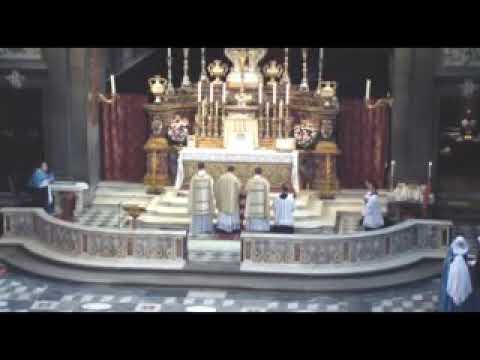 Introitus - Gaudeamus omnes in Domino