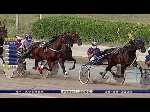 Aversa trotto 16 Settembre 2020 - 6° Corsa
