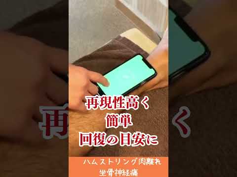 SLRテストをiPhoneで測定（詳細版）