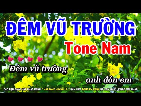 Karaoke Đêm Vũ Trường - Tone Nam Nhạc Sống Mới | Huỳnh Lê