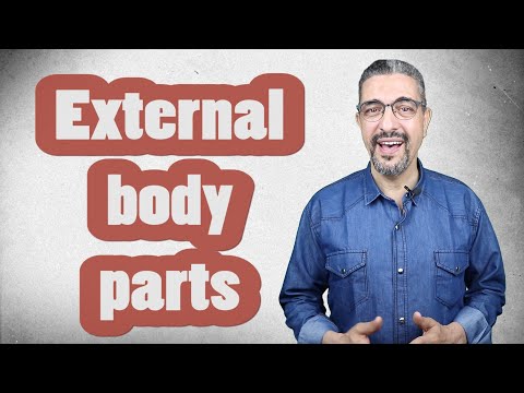 Learn Arabic vocabulary: 46 - External body parts